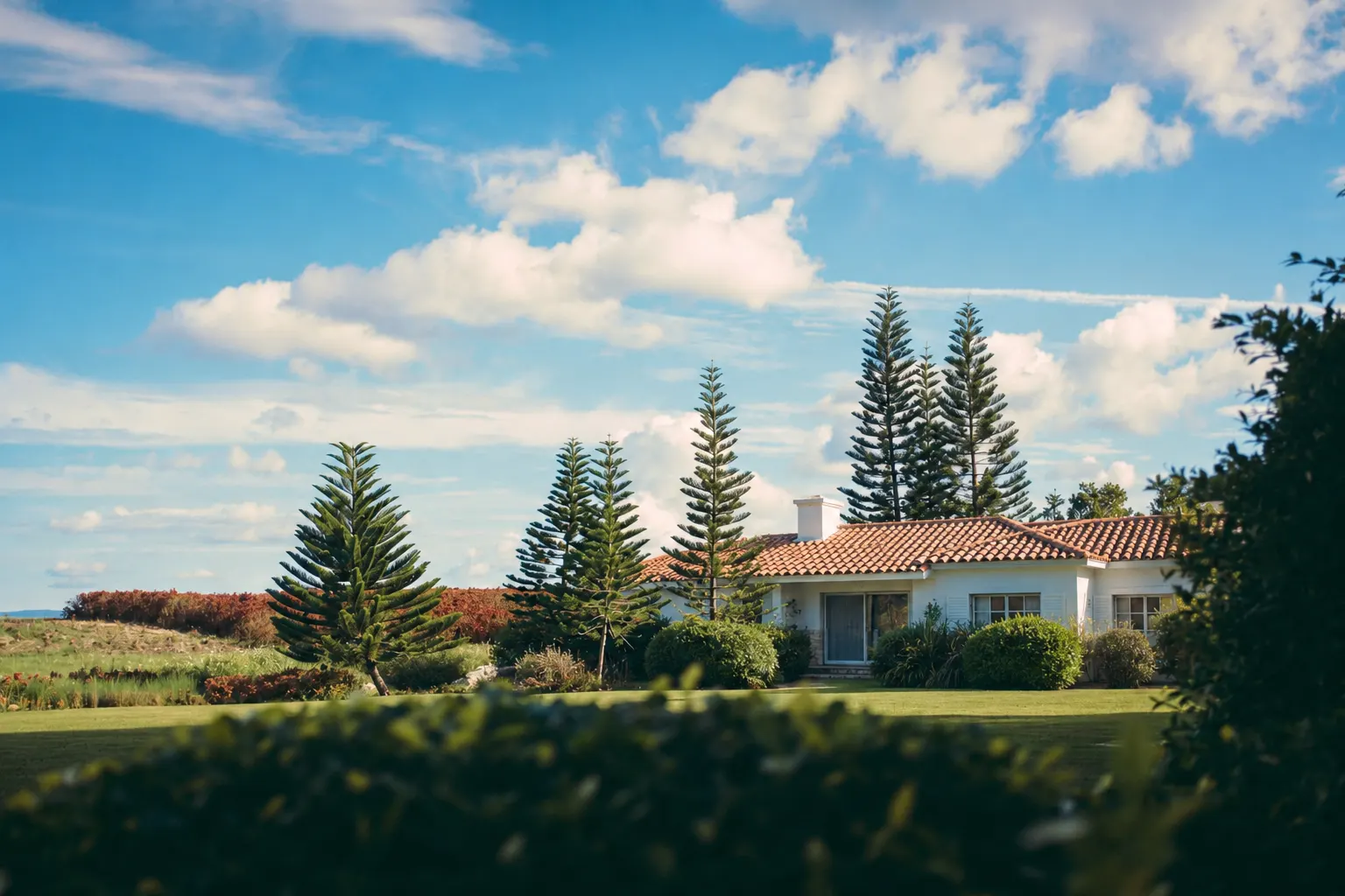 Casa de una planta de la costa de Canelones entre pinos