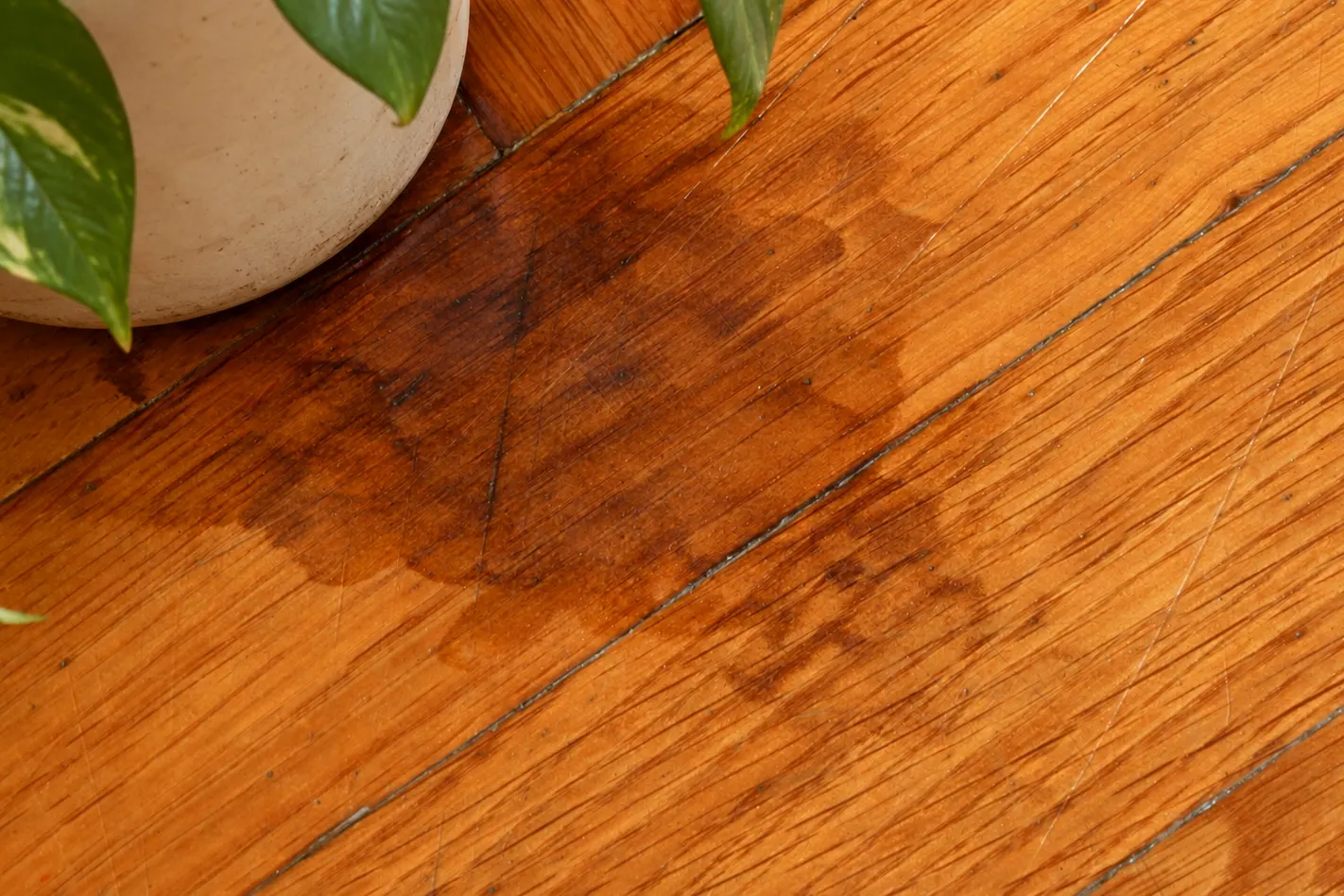 Tablillas de parquet con una mancha oscura de agua