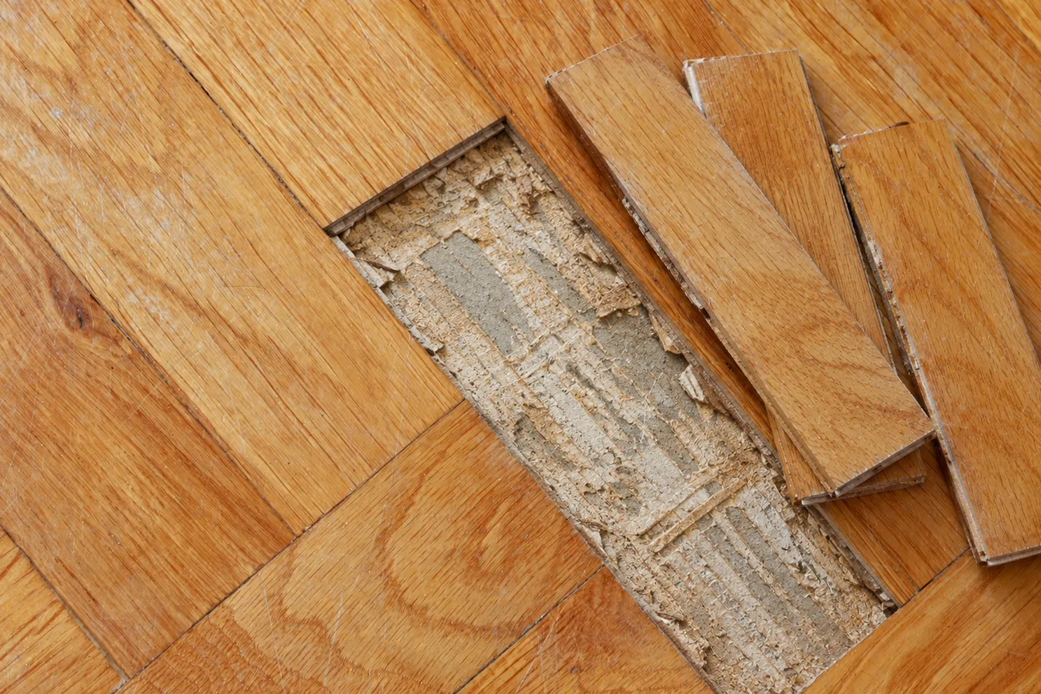 Tablillas de parquet despegadas con la cola vieja raspada
